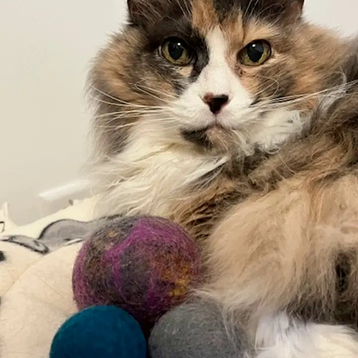 Felt Balls Cat Toys