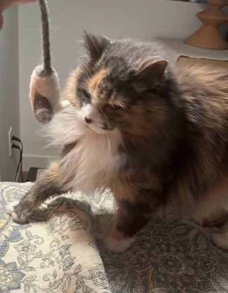 Felt Mini Mouse Cat Toy