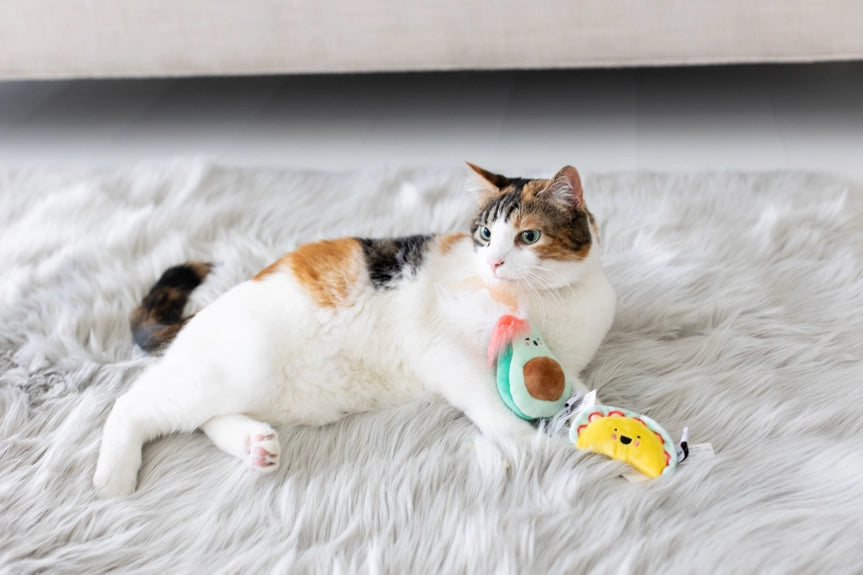 Taco & Avocado Cat Toys