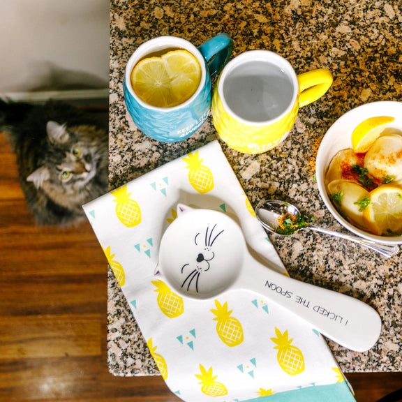 Cat Licked the Spoon Rest